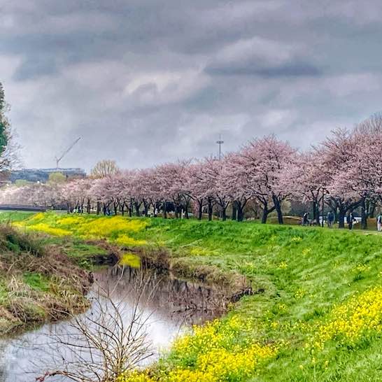 DIET EARTH PREMIUM Katsuki post image