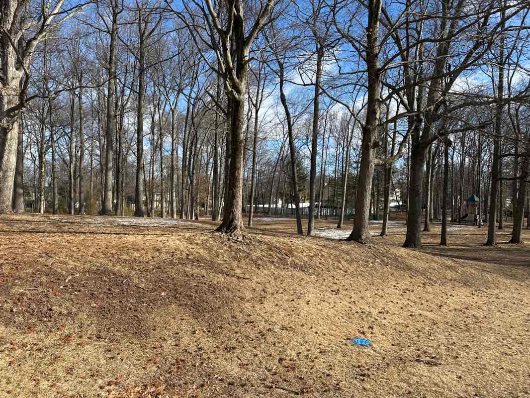 walking near me in Durand Cormaci Park in winter