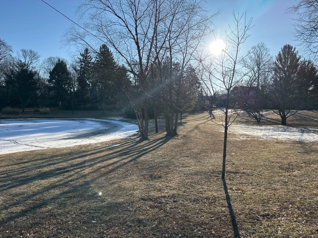 walking near me in Thomas Park in winter