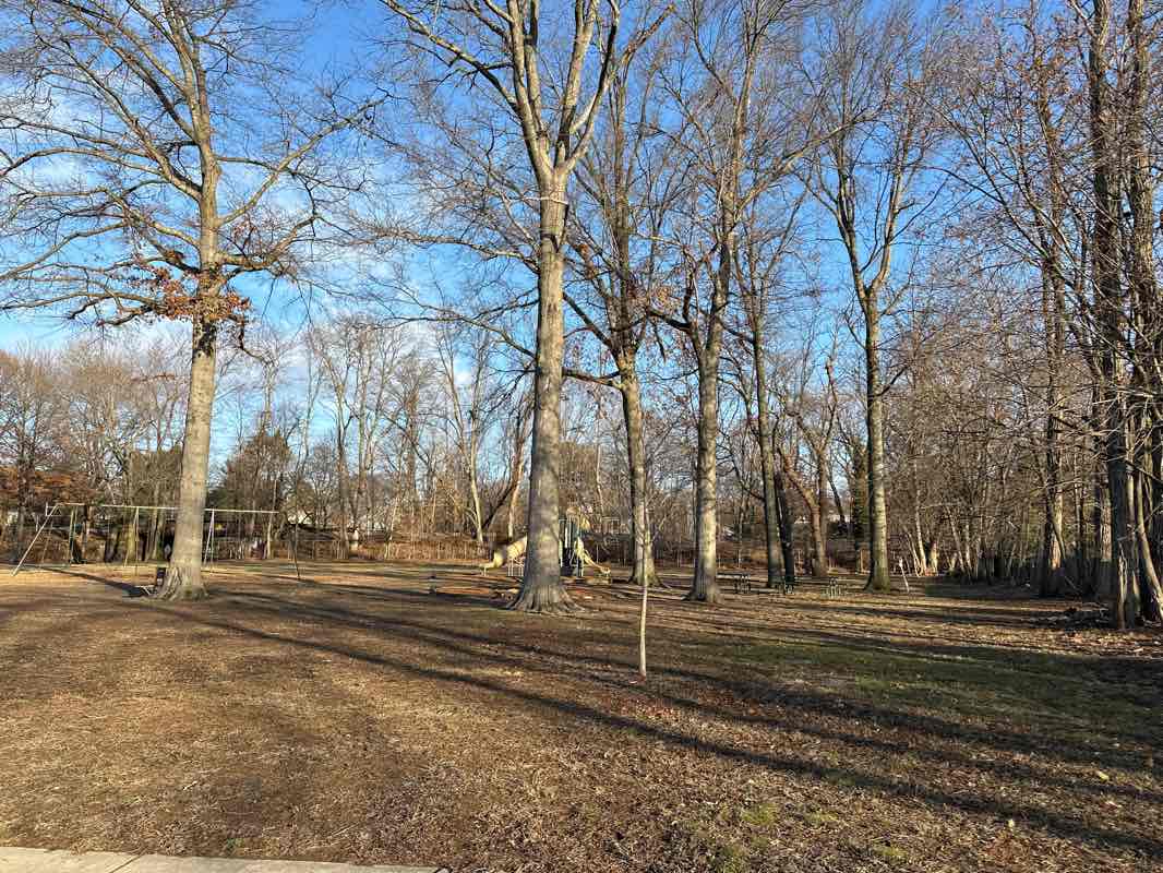 walking near me in Olmezer Park in winter