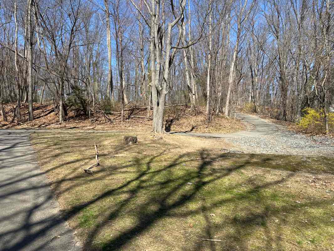 walking near me in Welsh Park in spring