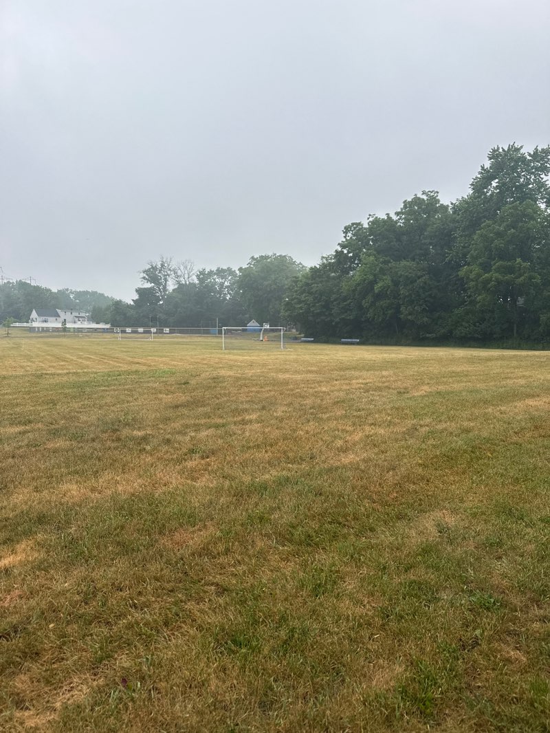 walking near me in Hampton Park in summer