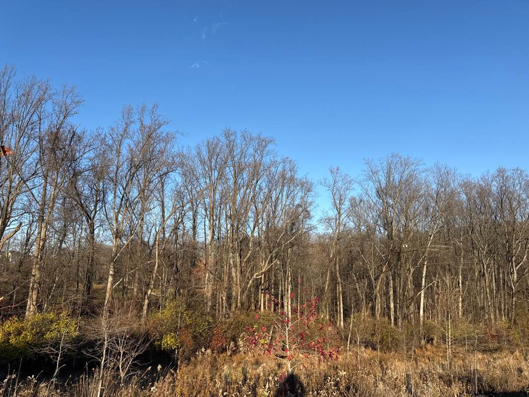 walking near me in Jaeger Overlook Park in autumn