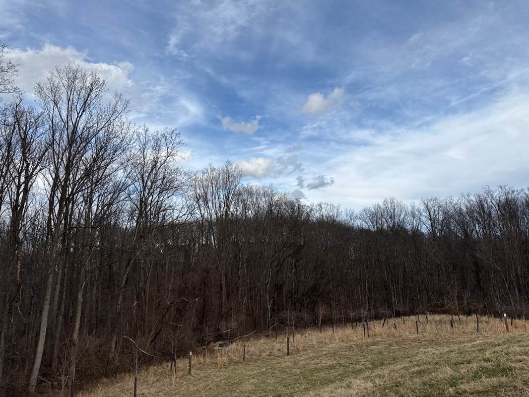 walking near me in Jaeger Overlook Park in spring