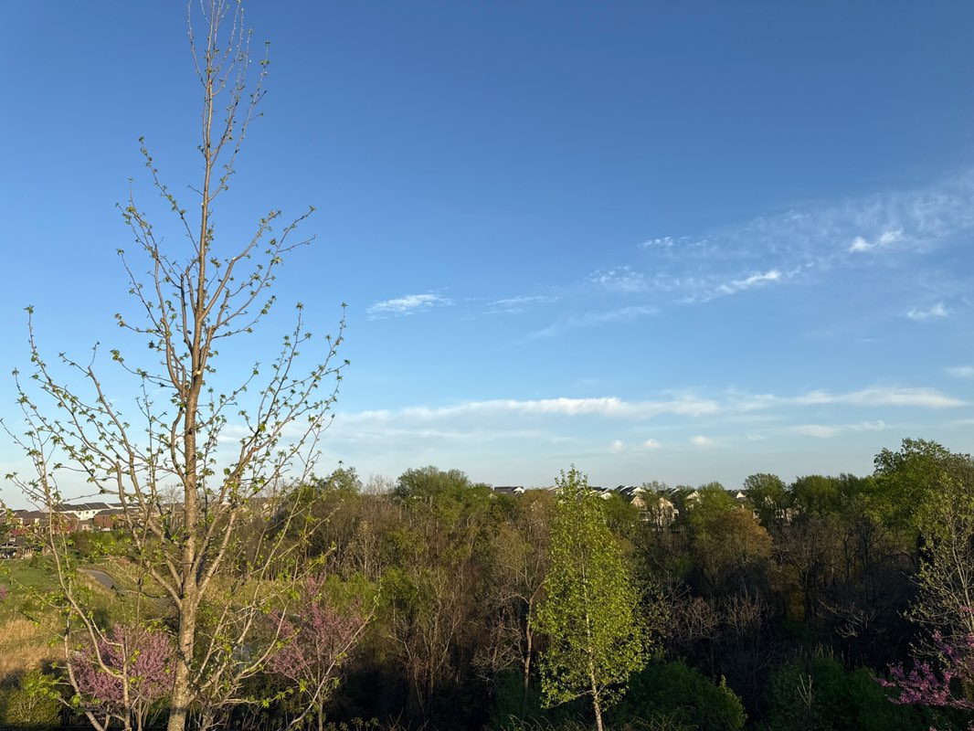 walking near me in Clarkmont Local Park in spring