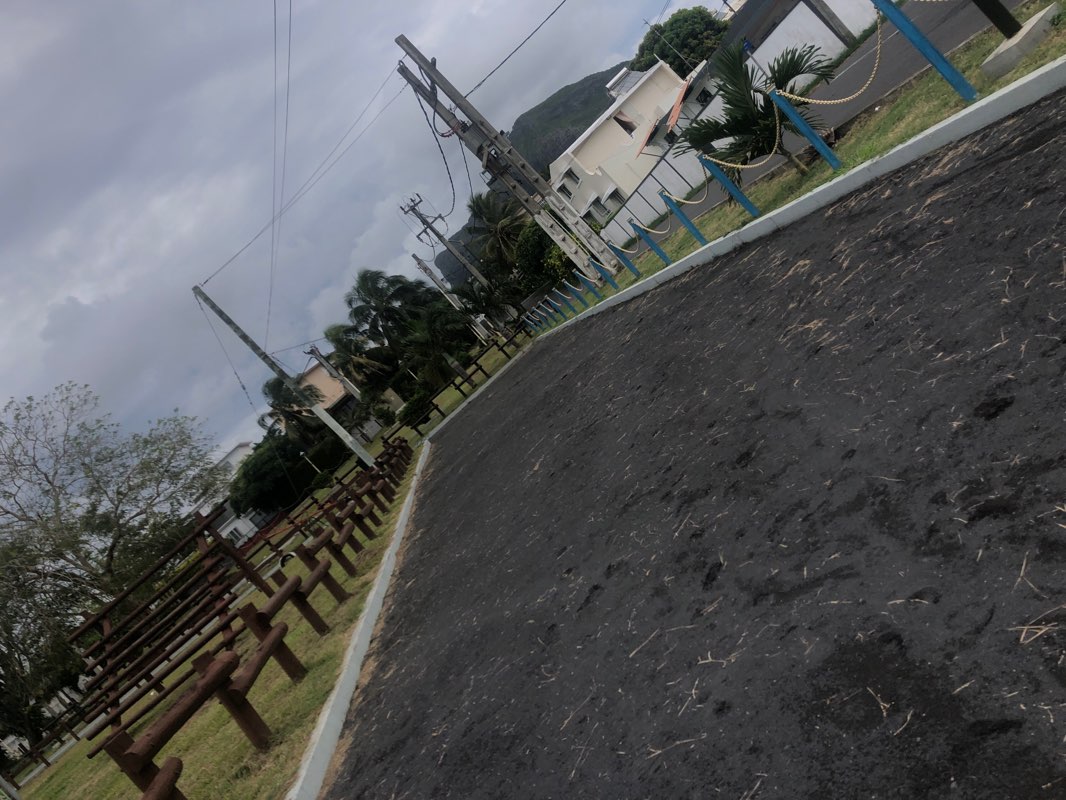walking near me in Cavalot Park in summer