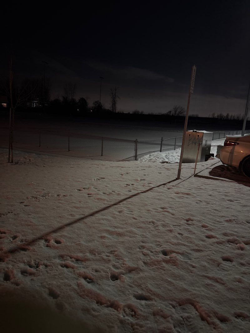 walking near me in Parc Raymond-Pitre in winter