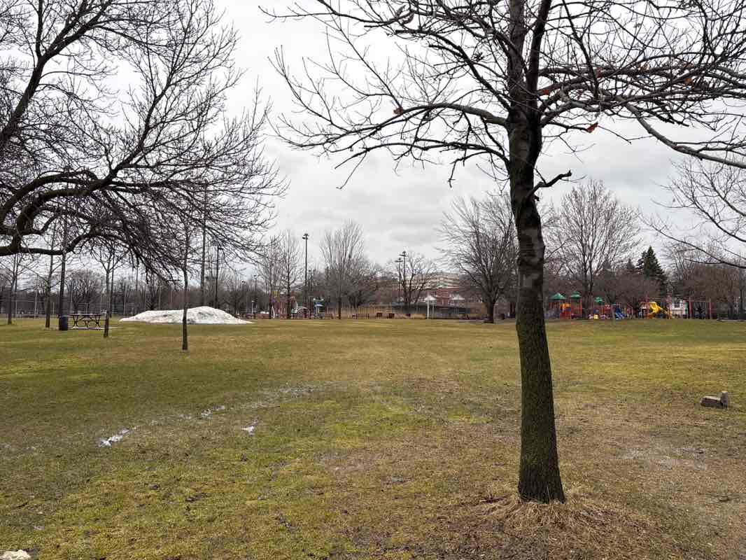 walking near me in Parc Martin-Luther-King in spring