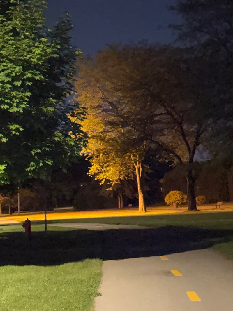 walking near me in Parc de Cambray in summer