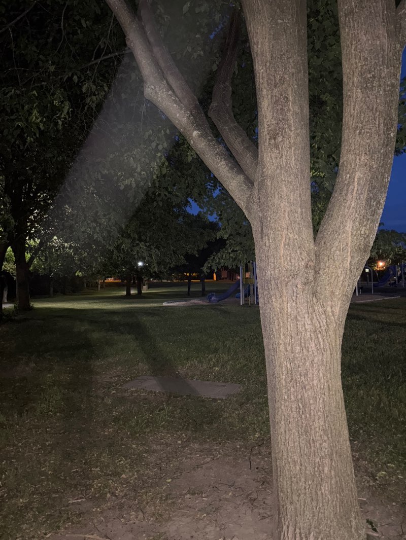 walking near me in Parc Colpron in summer