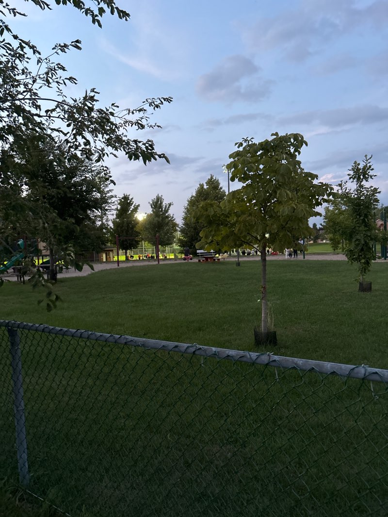 walking near me in Edward Janiszewski Park in autumn