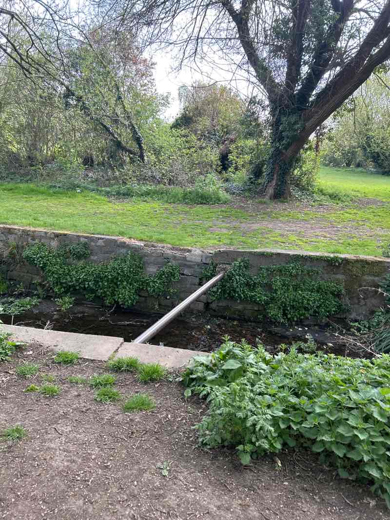 walking near me in Berrylands Park in spring
