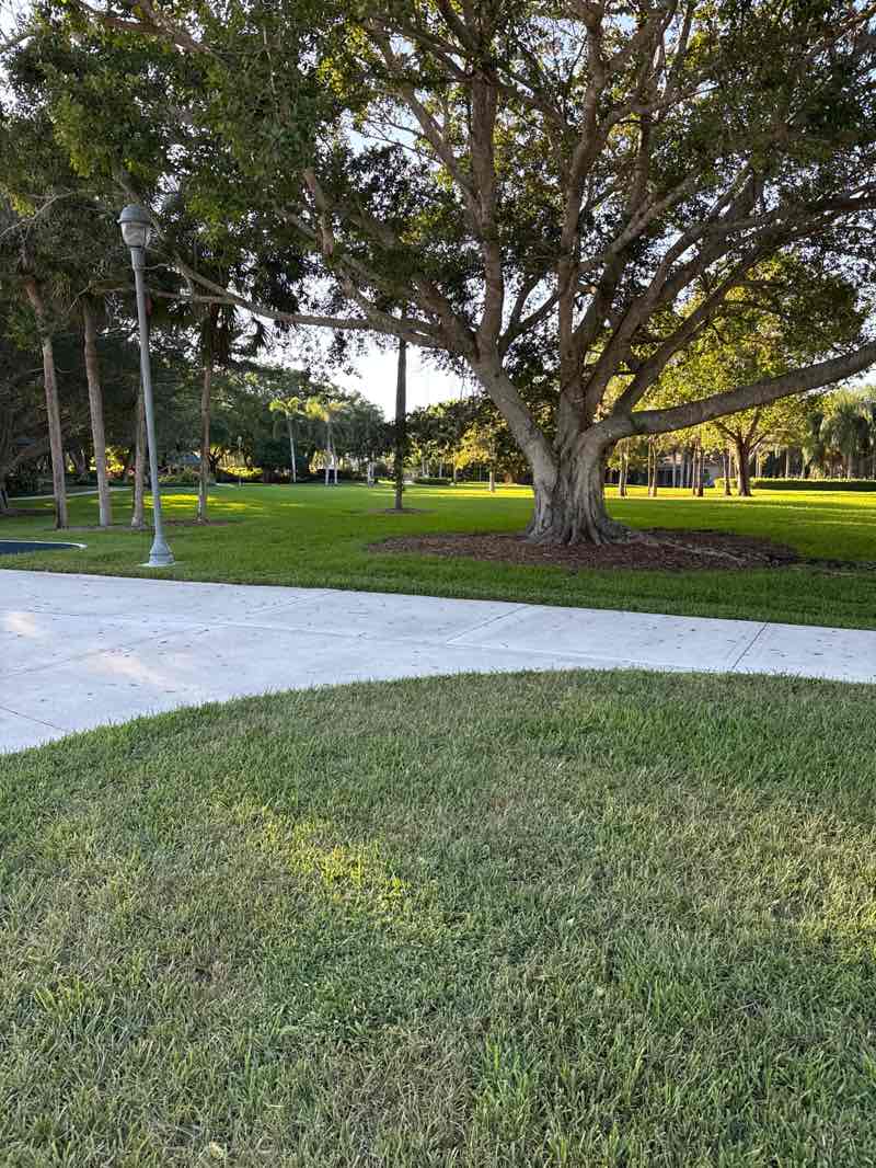 walking near me in Country Isles Park in autumn