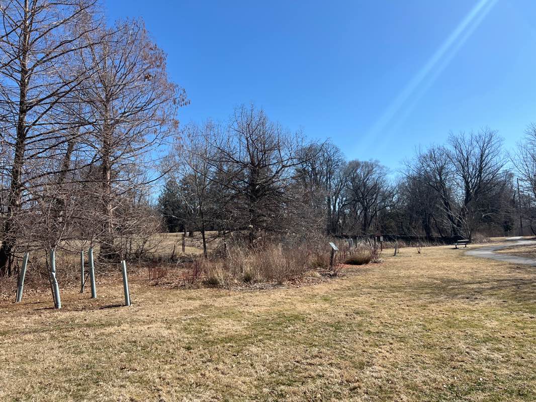 walking near me in Mermaid Park in spring