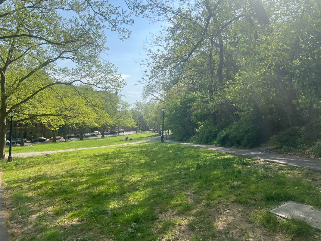 walking near me in Forest Park in spring