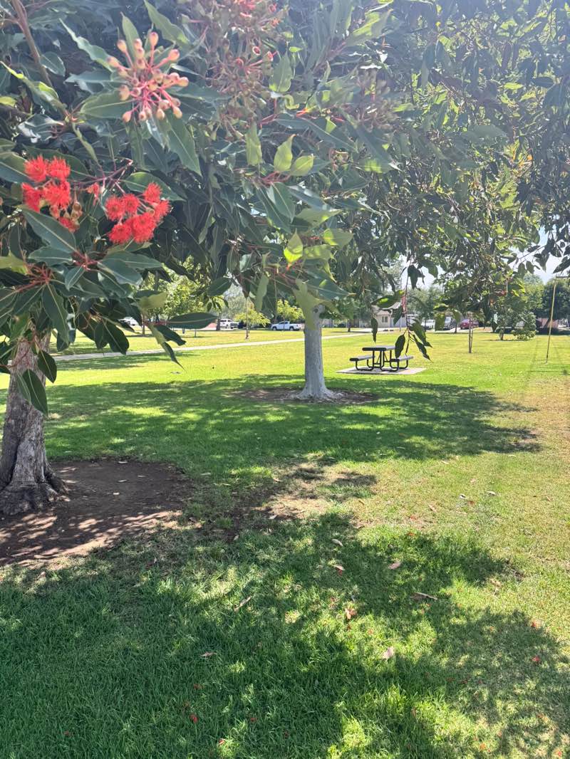 walking near me in Marchant Park in summer