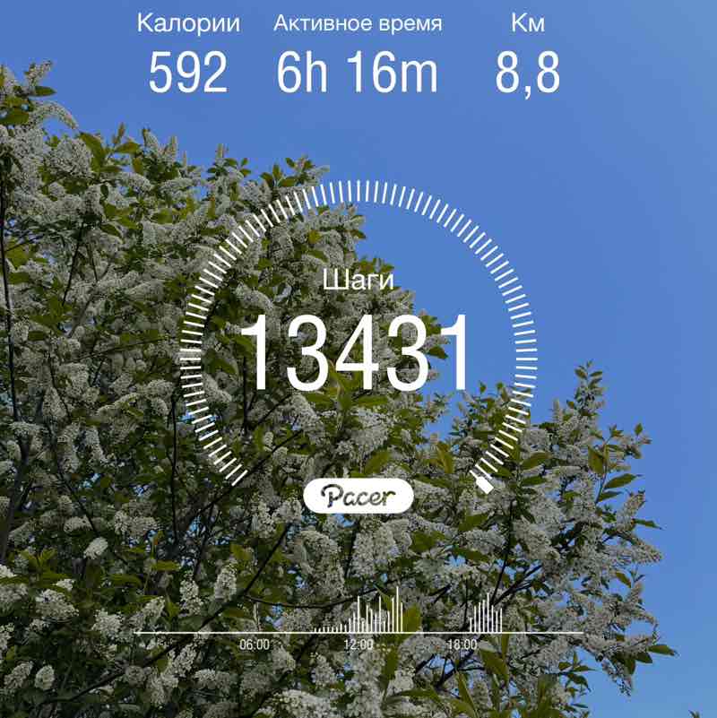 Антонина post 1