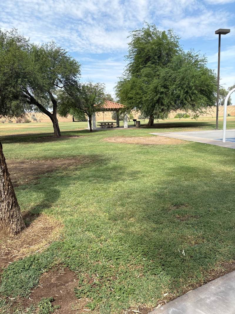 walking near me in Oasis Park in autumn