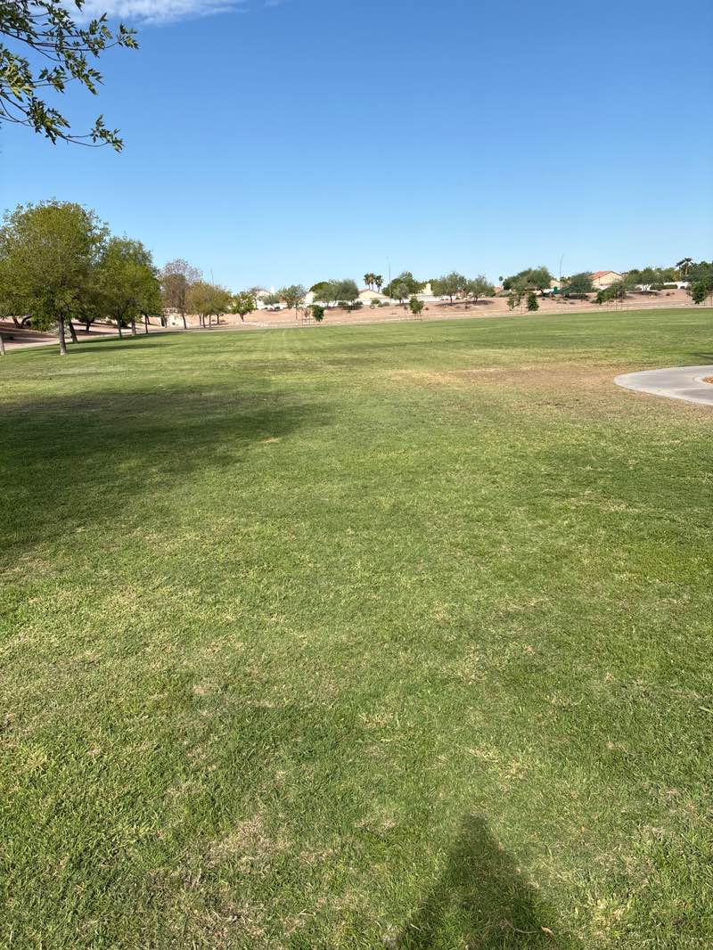 walking near me in Desert Amethyst Park in autumn