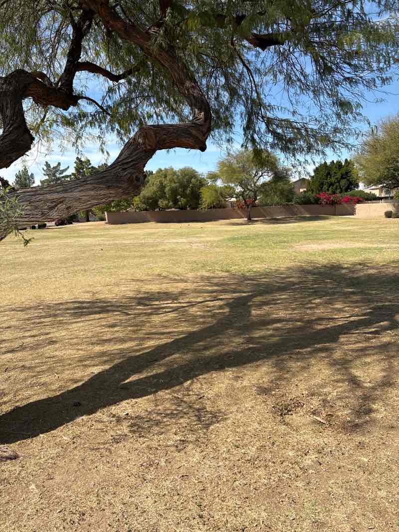 walking near me in Utopia Park in spring