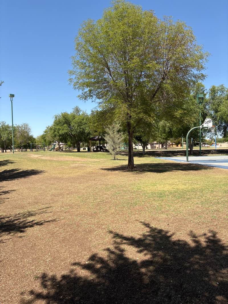 walking near me in Greenbriar Park in spring