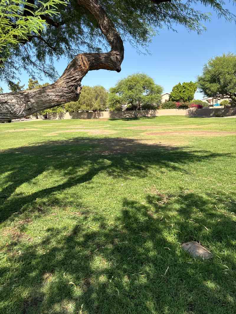 walking near me in Utopia Park in summer