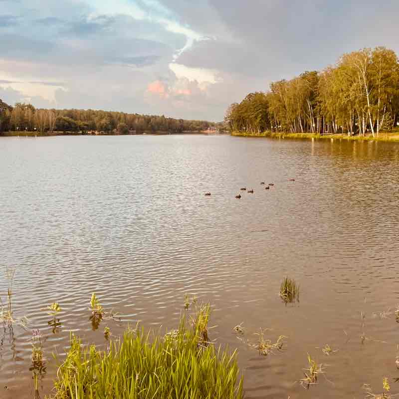 kuarom🇷🇺 post 2