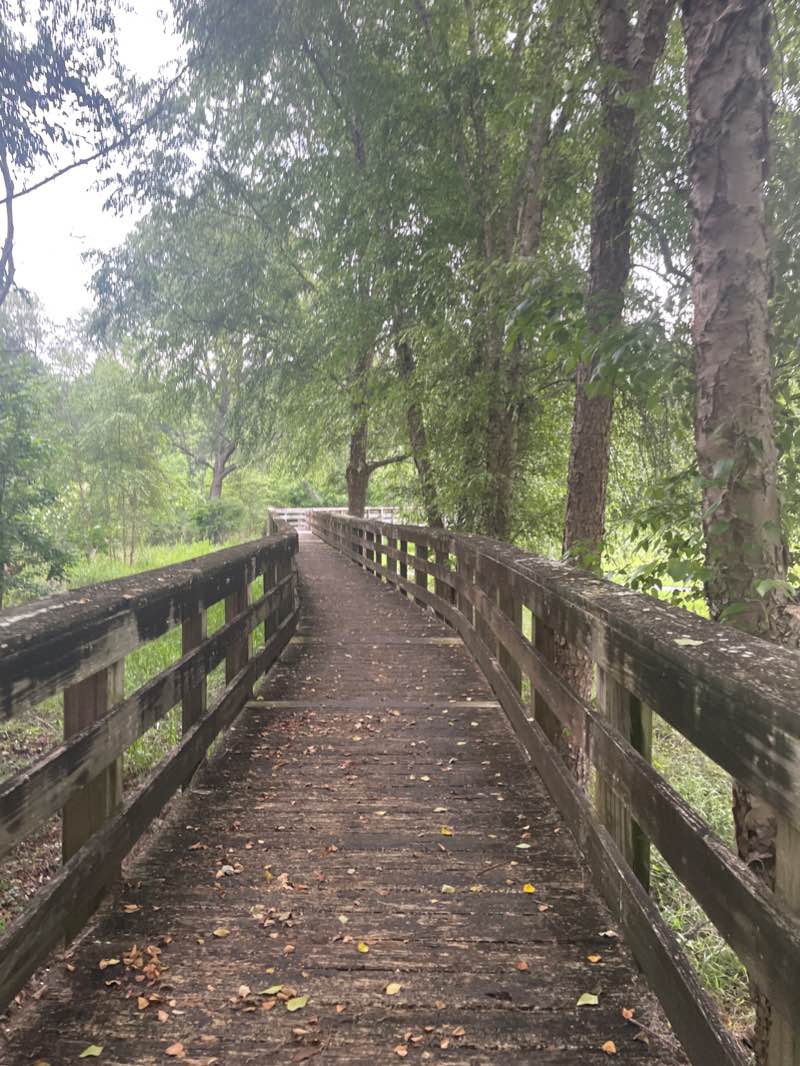 walking near me in McMillan Creek Greenway in winter