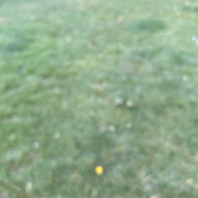 Paul post 1