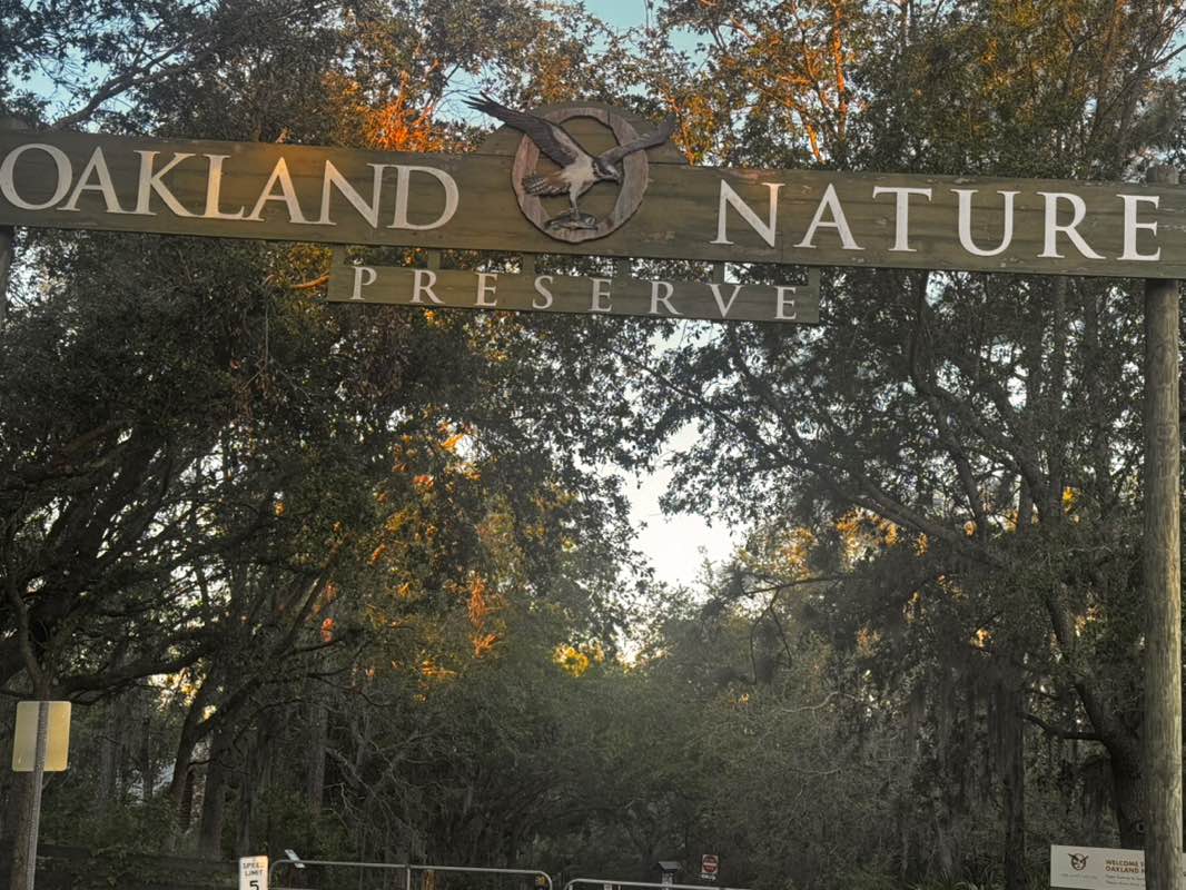 walking near me in Oakland Nature Preserve in spring