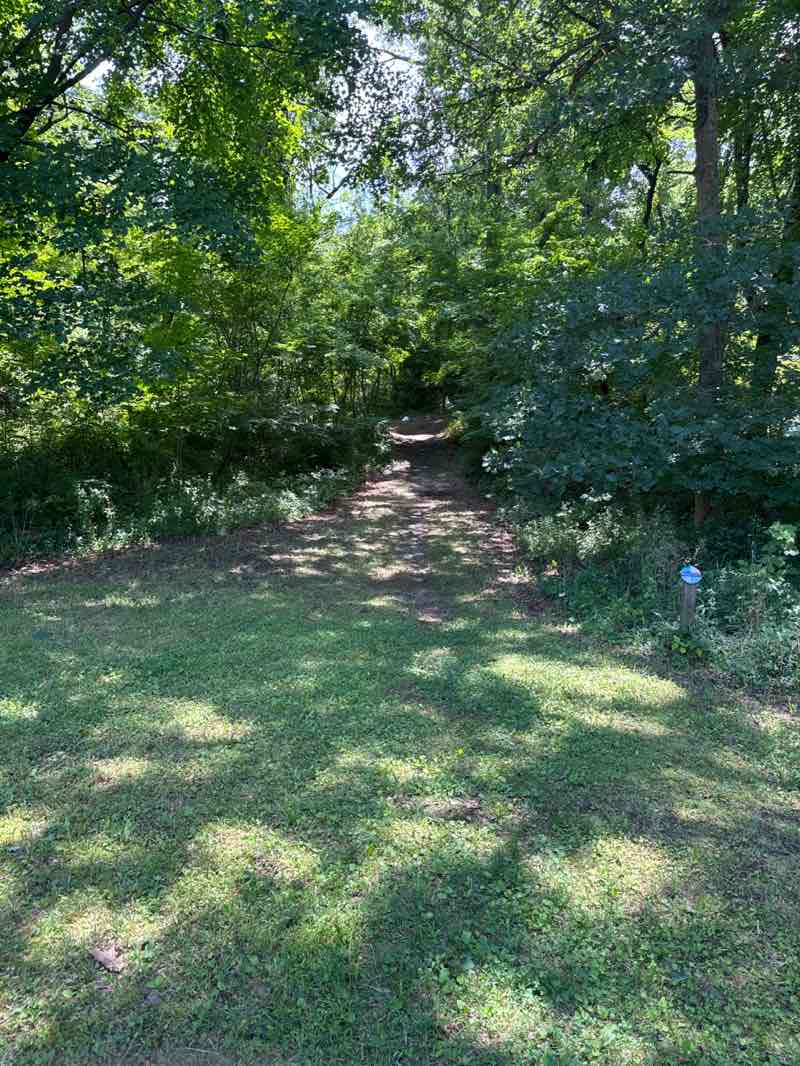 walking near me in Montrose Point State Forest in summer