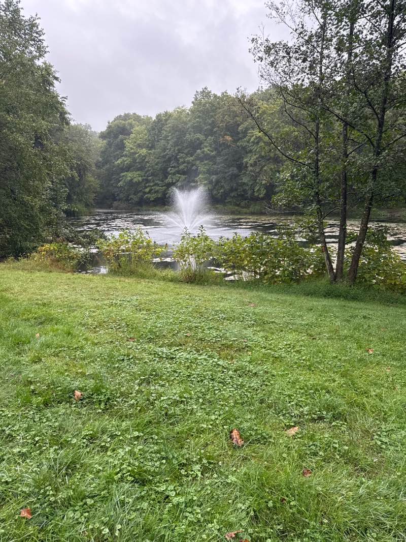 walking near me in Liberty Pond Park in autumn