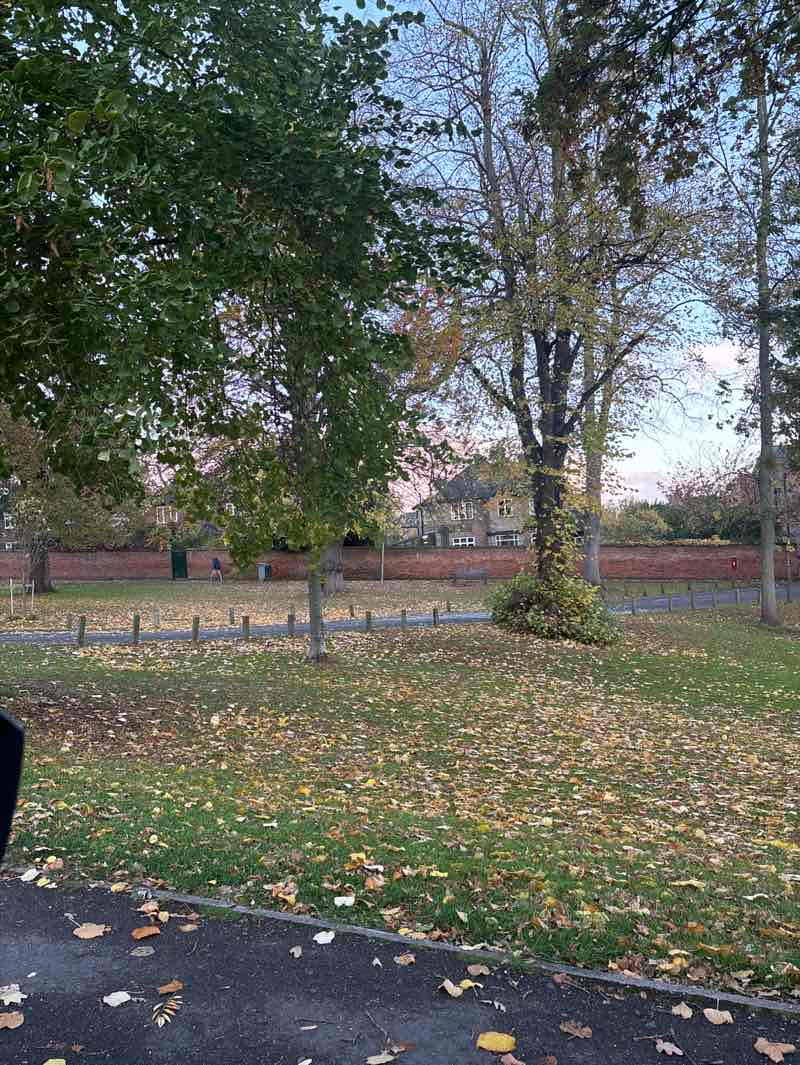 walking near me in Burgage Green in autumn