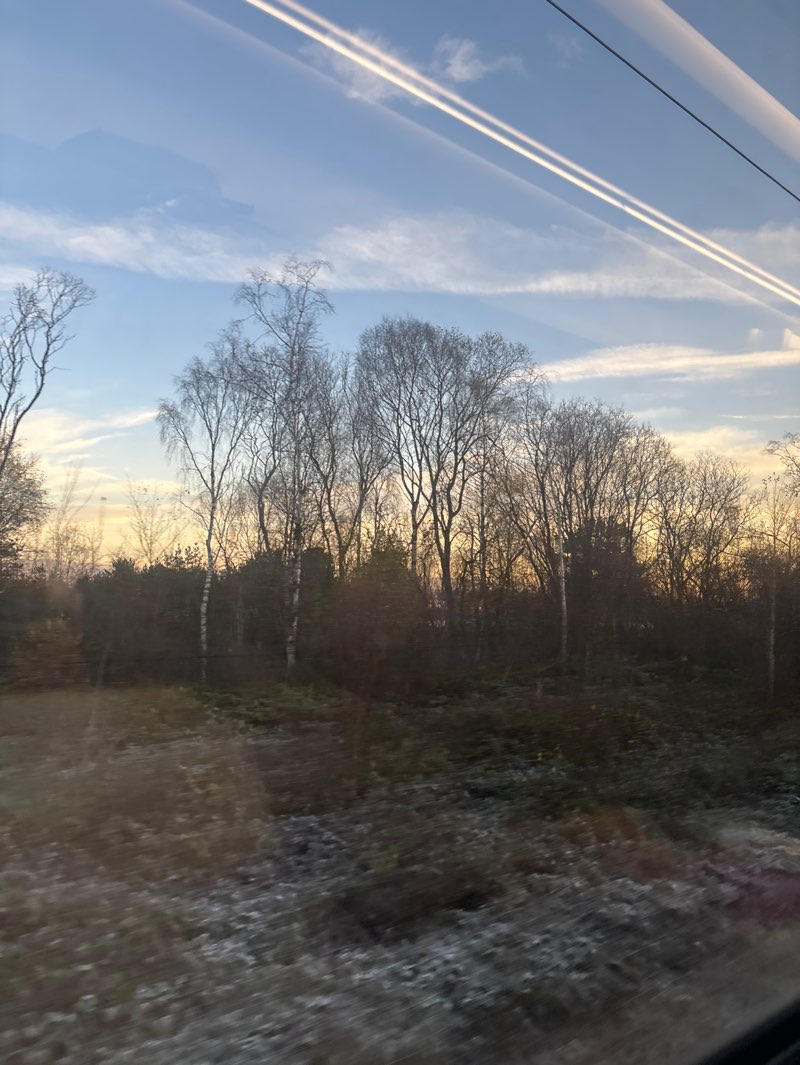 walking near me in Summerford Park in autumn