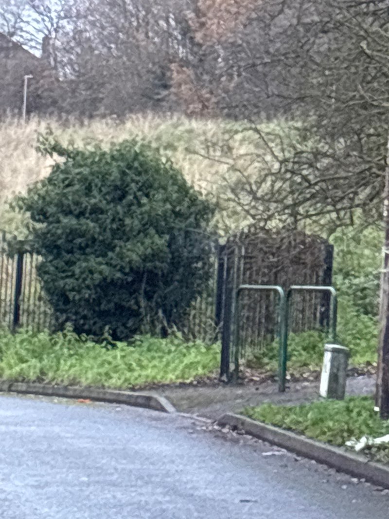 walking near me in Fisher Lane Park in winter