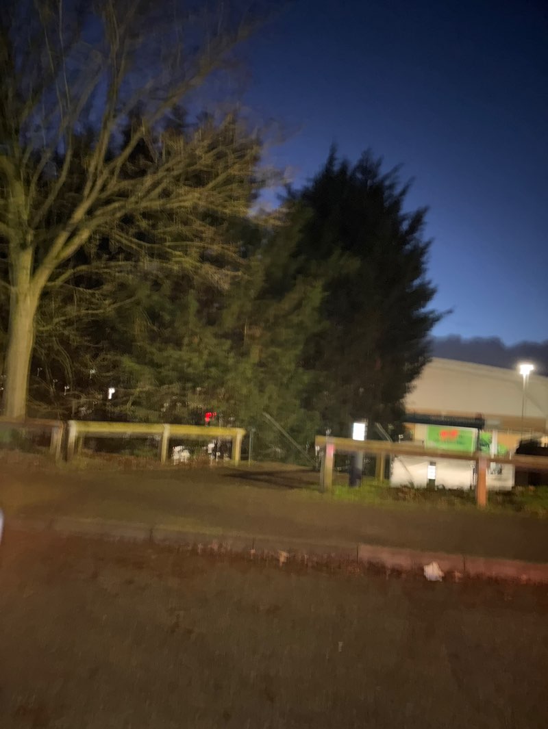 walking near me in Rushpool Open Space in winter