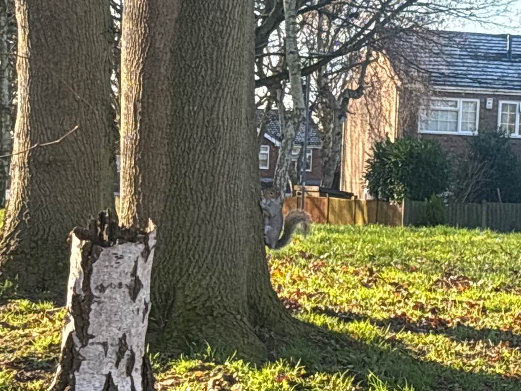 walking near me in Spinningdale Open Space in winter