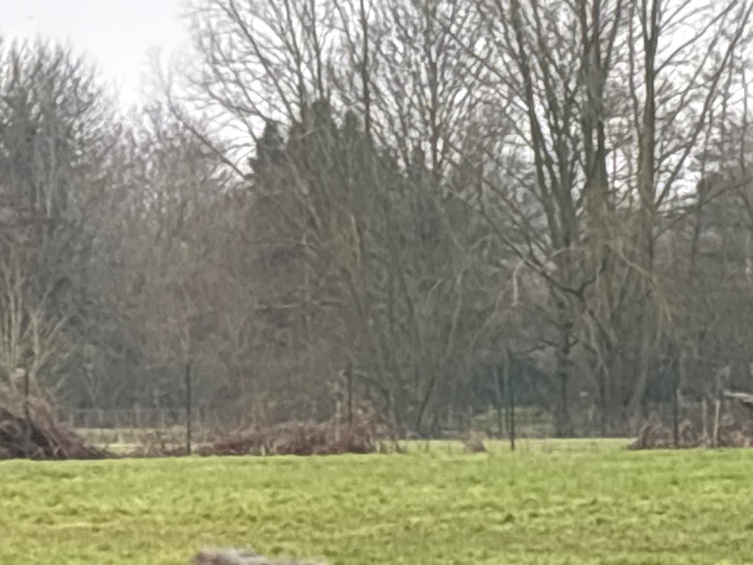 walking near me in Higgons Mead in winter