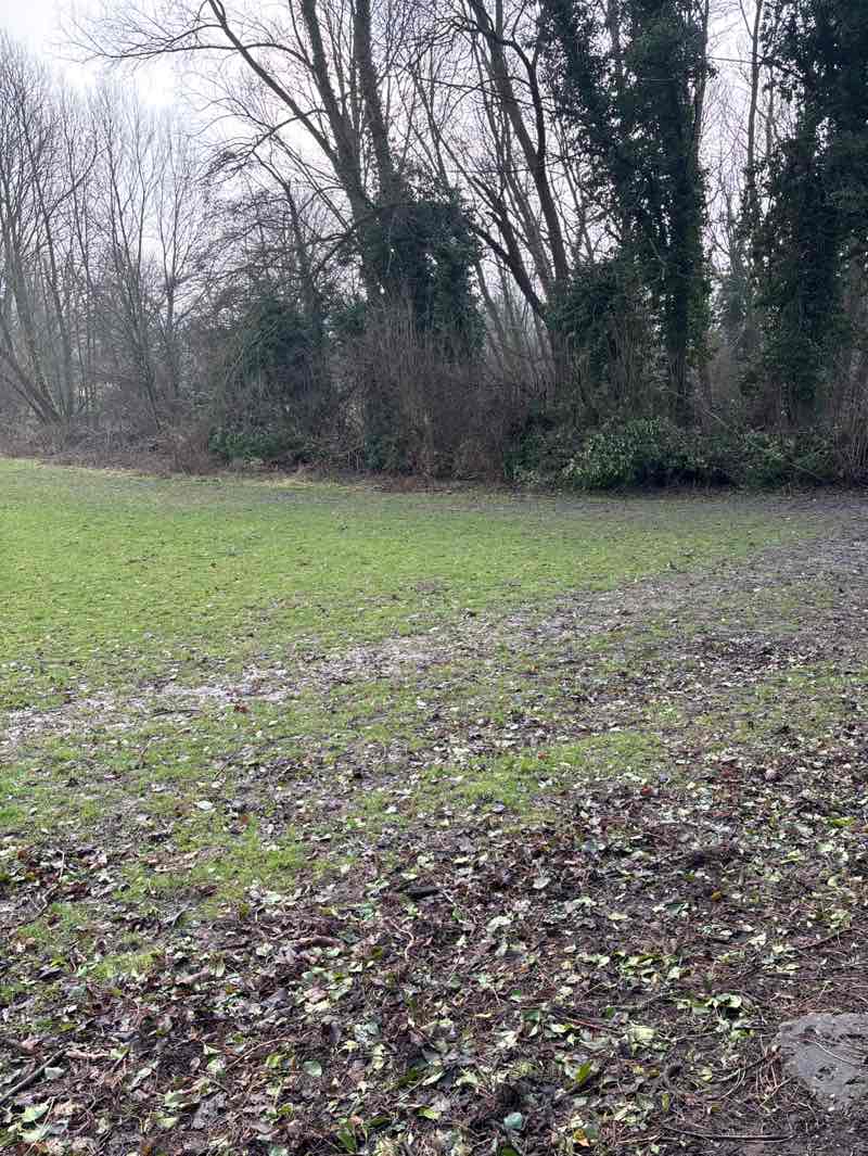 walking near me in Playing Fields in winter