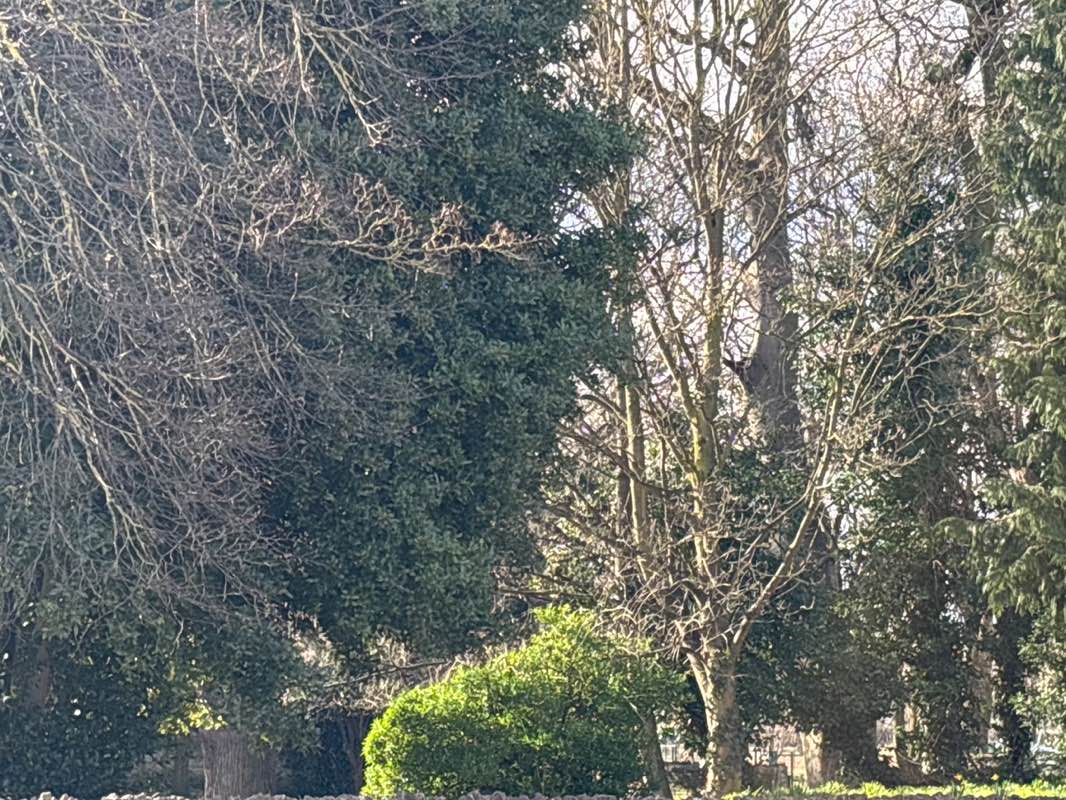 walking near me in Friary Gardens in winter