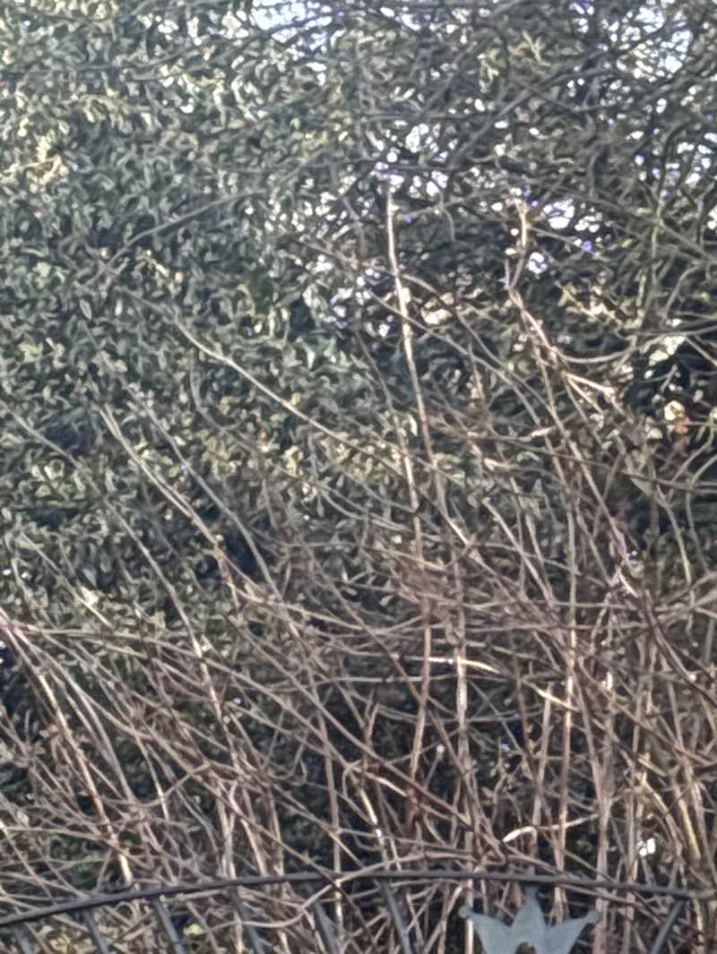 walking near me in Carr Bank Park in spring