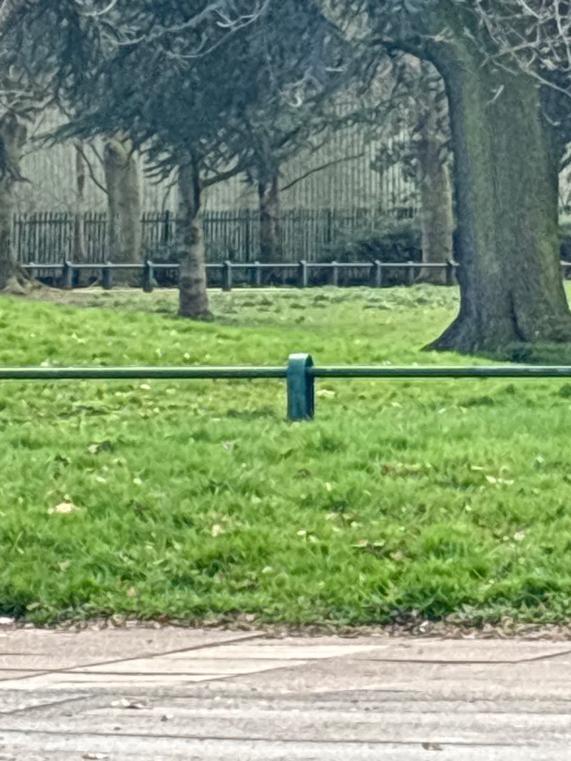 walking near me in Holbrooks Park in spring