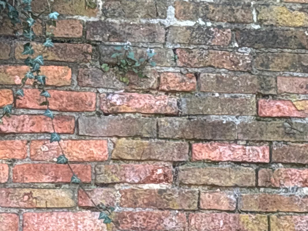 walking near me in Sherwood Avenue Play Park in spring