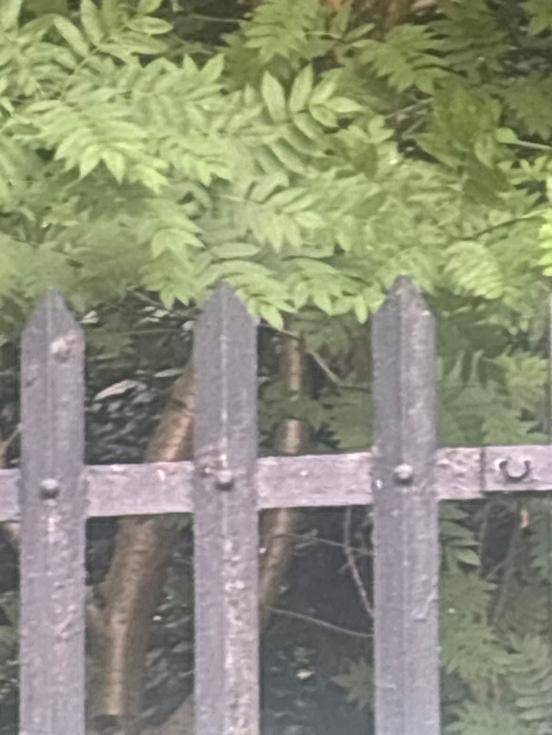 walking near me in King George V Recreation Ground in spring