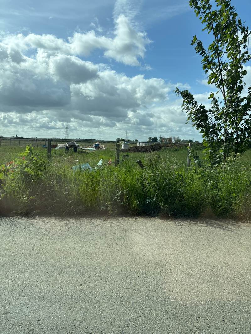 walking near me in The Meadow in spring