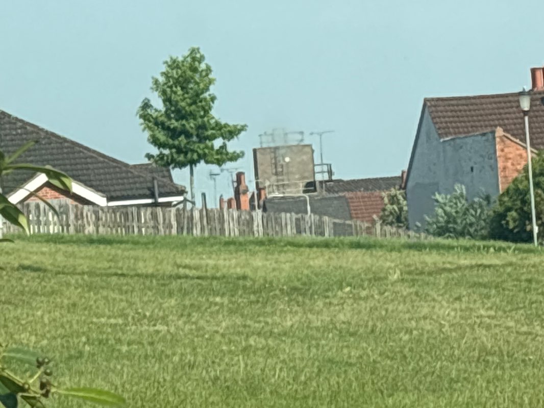 walking near me in Jacksons Park in summer