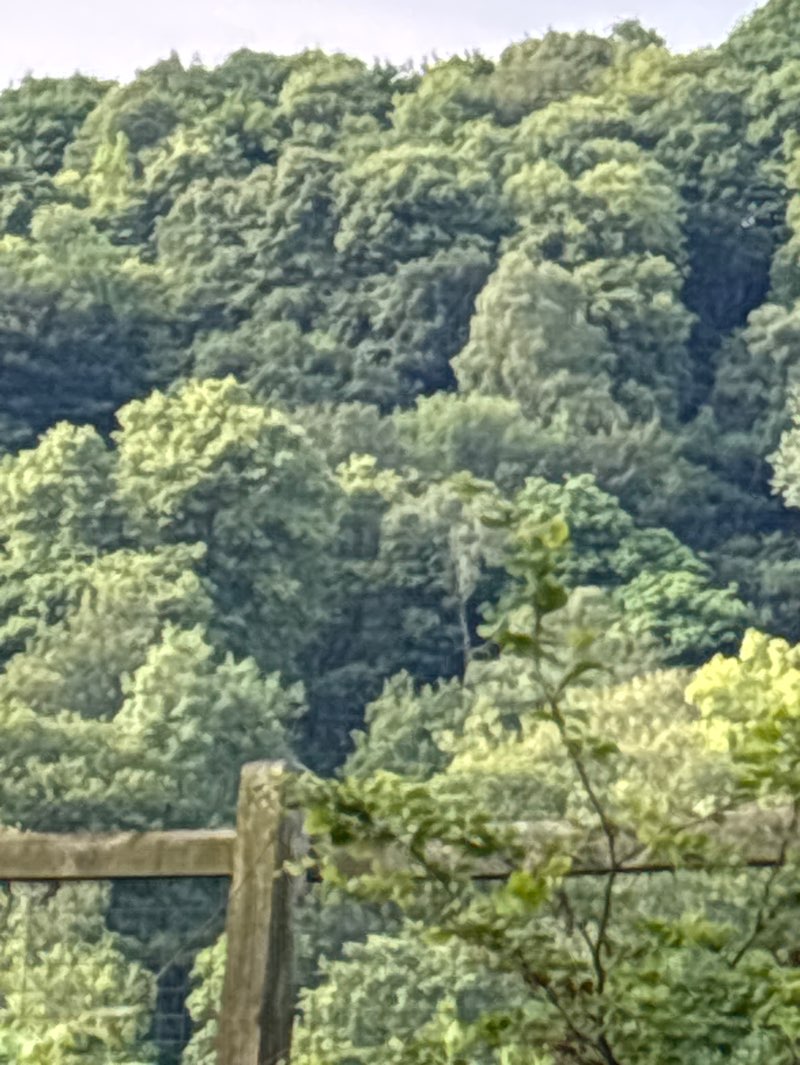 walking near me in Centre Vale Park in summer