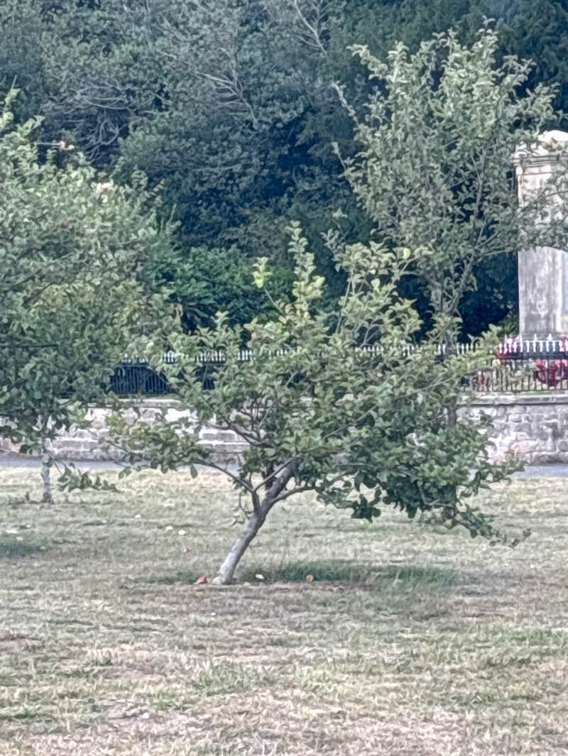 walking near me in The Carrs in autumn