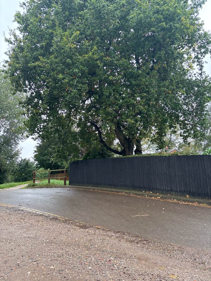 walking near me in Colwick Rectory Recreation Ground in autumn