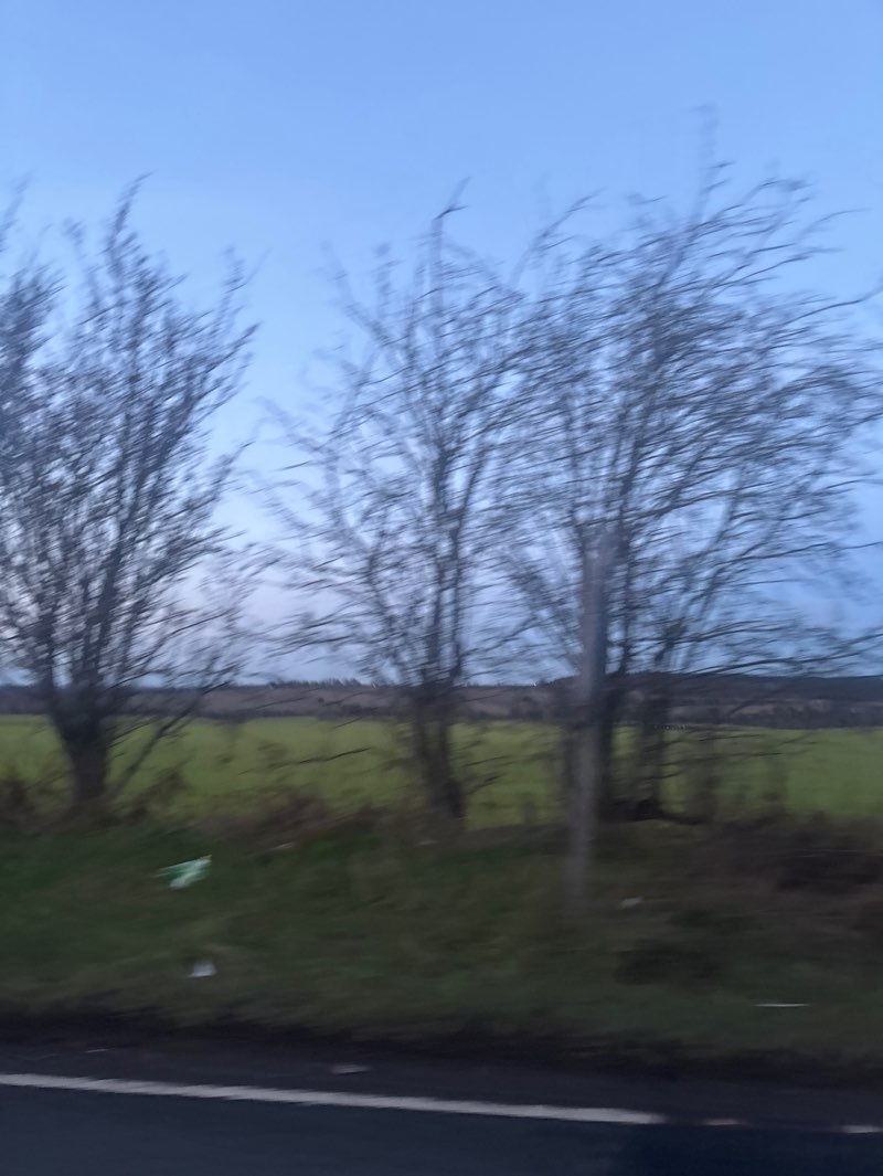 walking near me in Lark Hills Green Space in winter